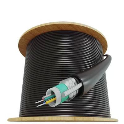 2-24 Core GYXTW Central Tube Fiber Optic Cable with 24m Distance and ISO45001 Certification